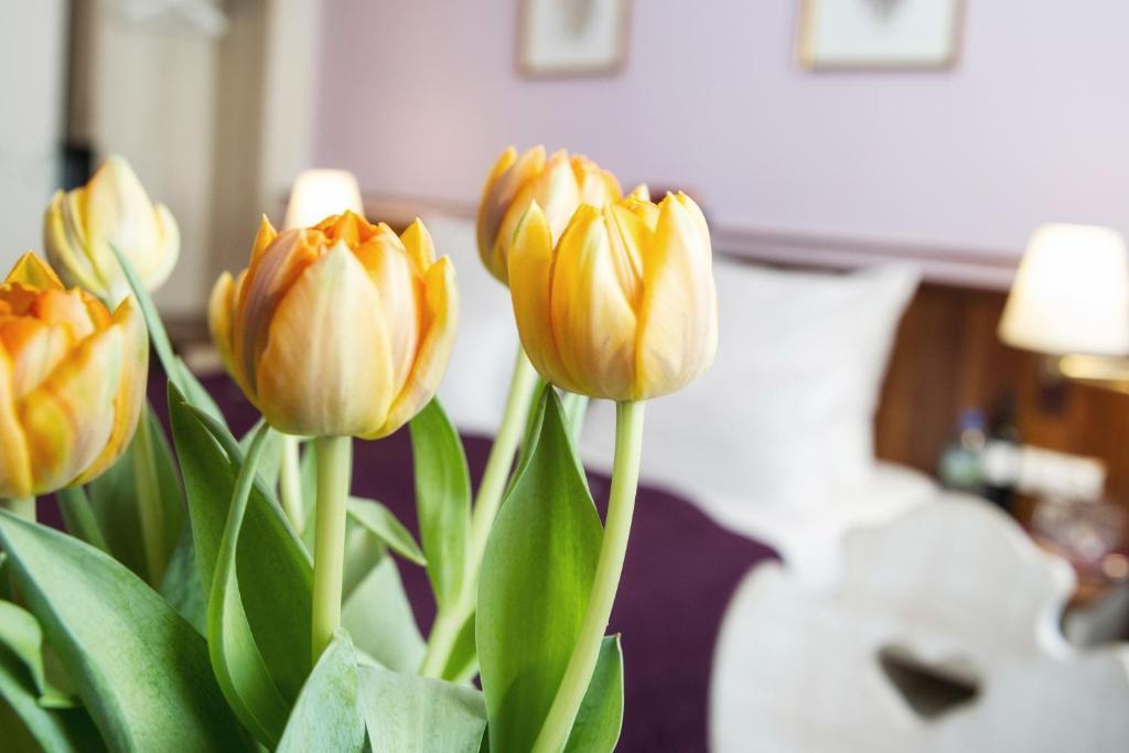 Elch Hotel Nuremberg